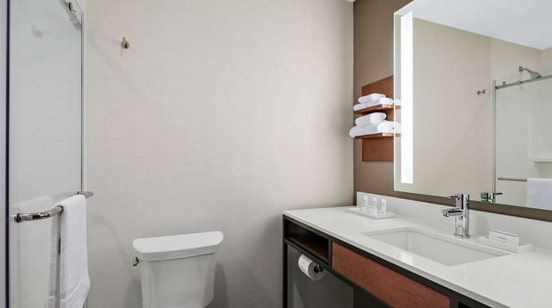 Images Hilton Garden Inn Chicago McCormick Place