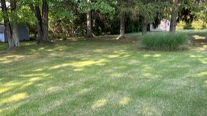 Keep your lawn looking its best with Weichey Land Services' professional lawn care maintenance. Our tailored programs ensure that your lawn receives the care it deserves, from regular mowing and edging to fertilization and weed control. Trust us to maintain a healthy, vibrant lawn that enhances the beauty of your property and provides a welcoming outdoor space for your enjoyment.