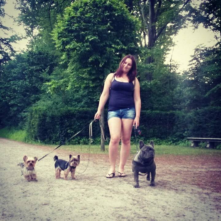 Bilder Hundezentrum Lapki