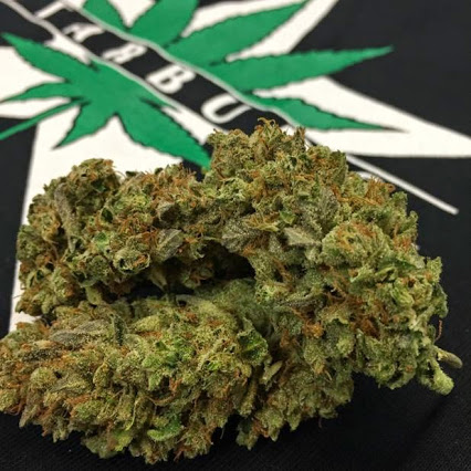 Star Buds Dispensary Las Animas