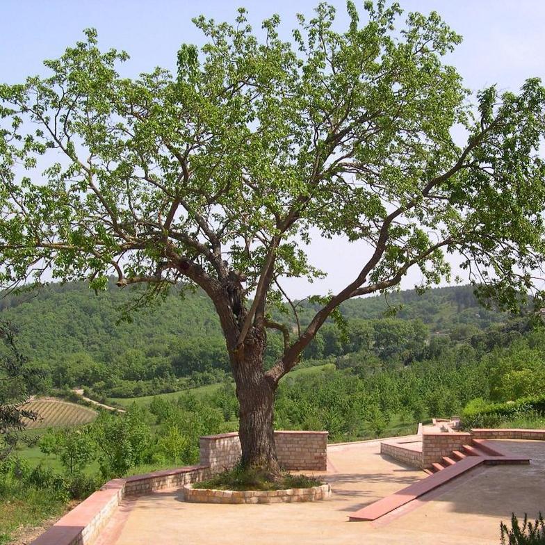 Images Studio Tecnico di Architettura Arch. Tamara Migliorini