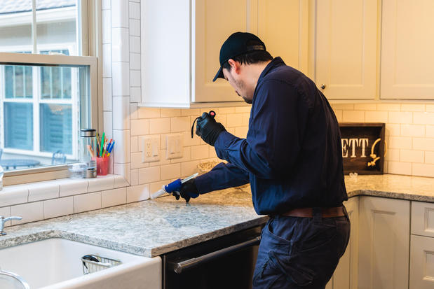 Images ProSource Pest Solutions