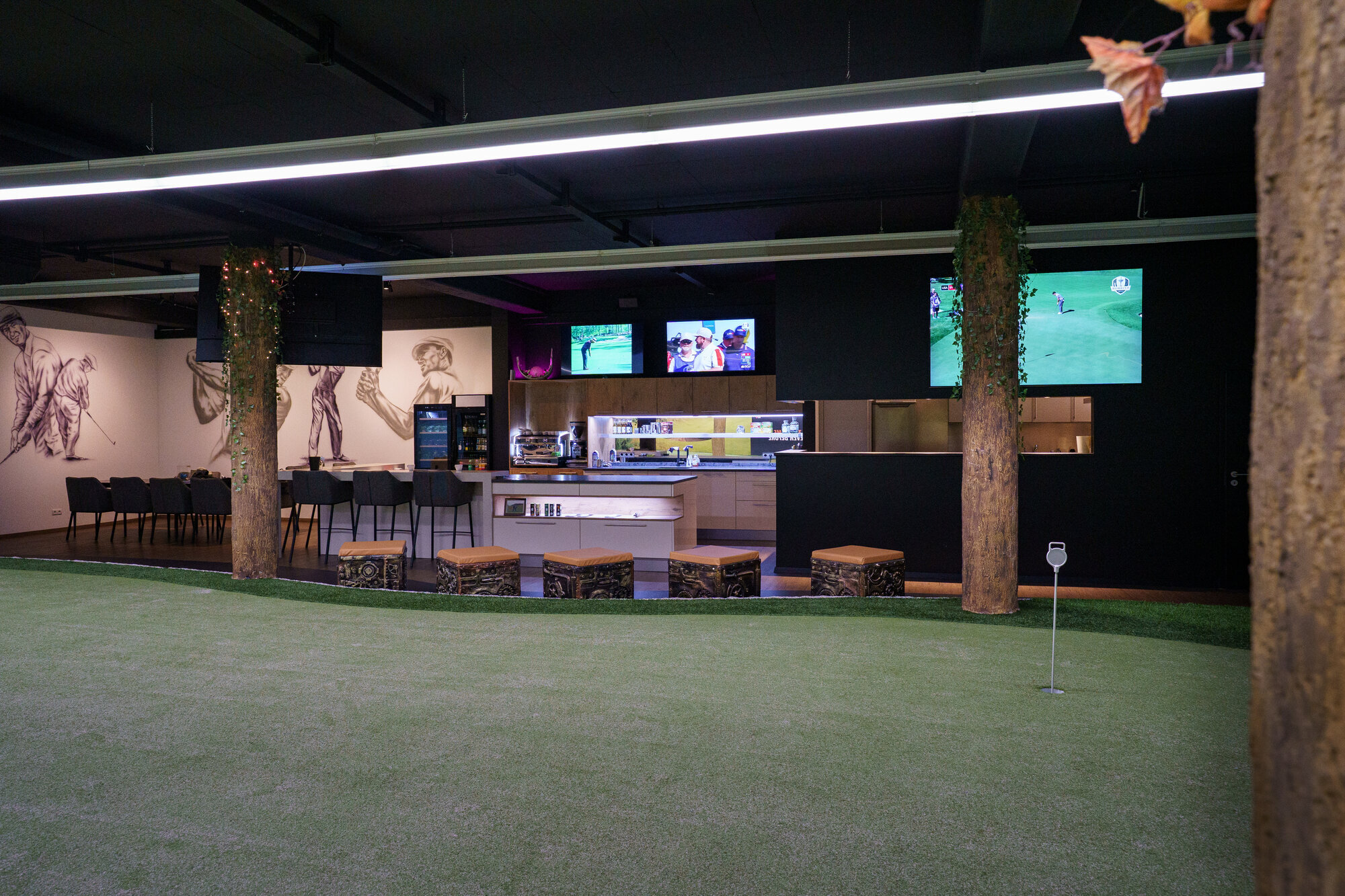 APEX Indoor Golf, Am Weidenbach 23 in Bonn