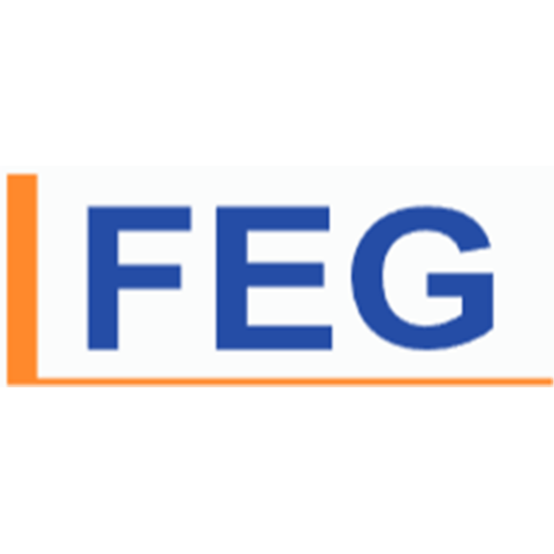 FEG Fra- Energie- und Netzbau GmbH  