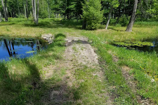 Images Evergreen Consultants, LLC