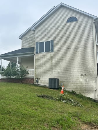 Images The Roof Cleaner