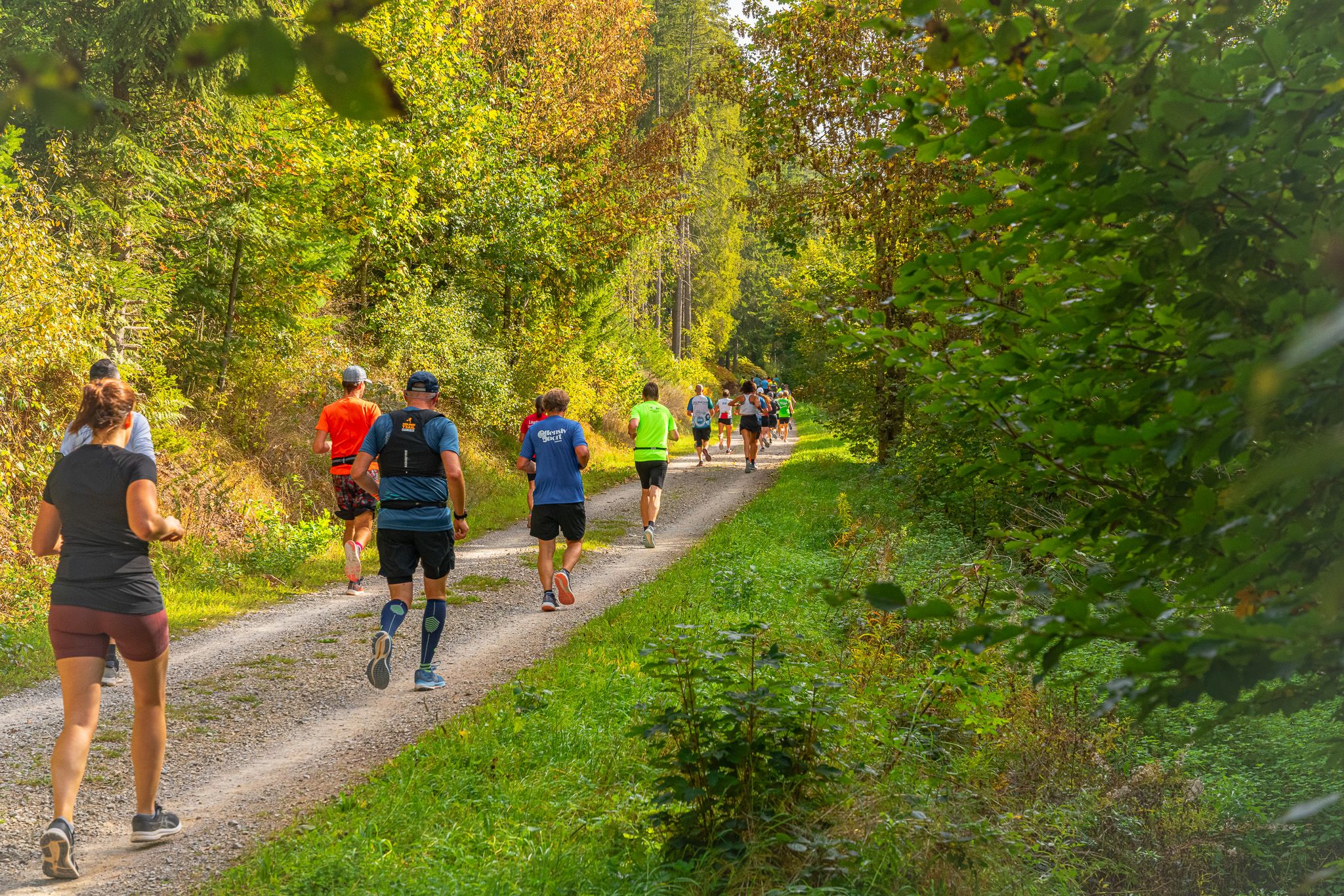 LSG Schwarzwald-Marathon e.V., Sommergasse 6 in Bräunlingen