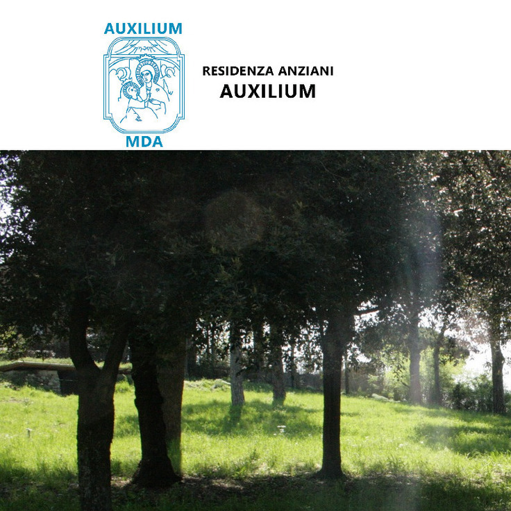 Images Auxilium Madonna del Divino Amore