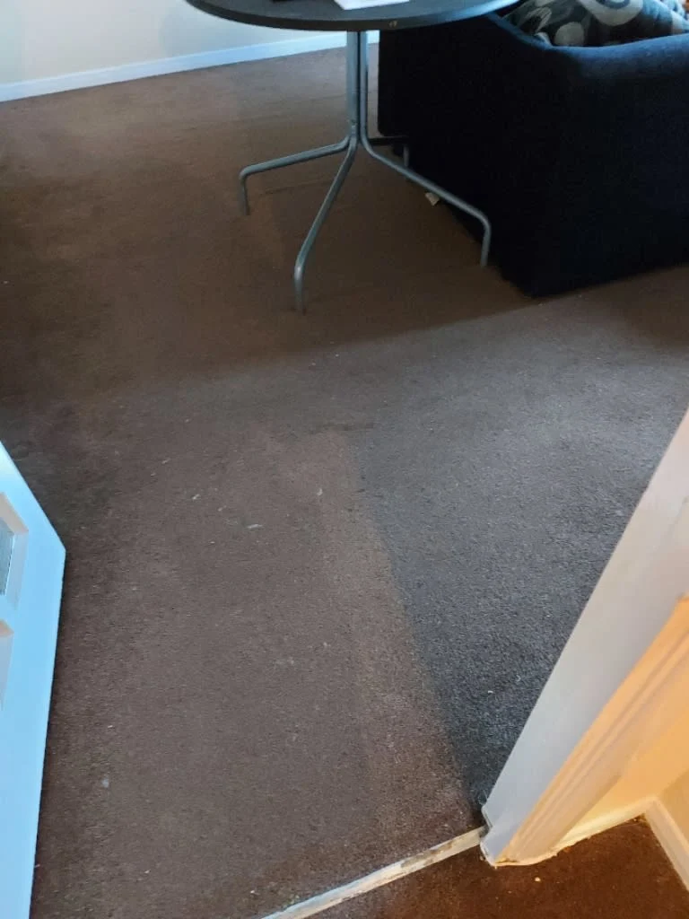 Images Titanium Cleaning