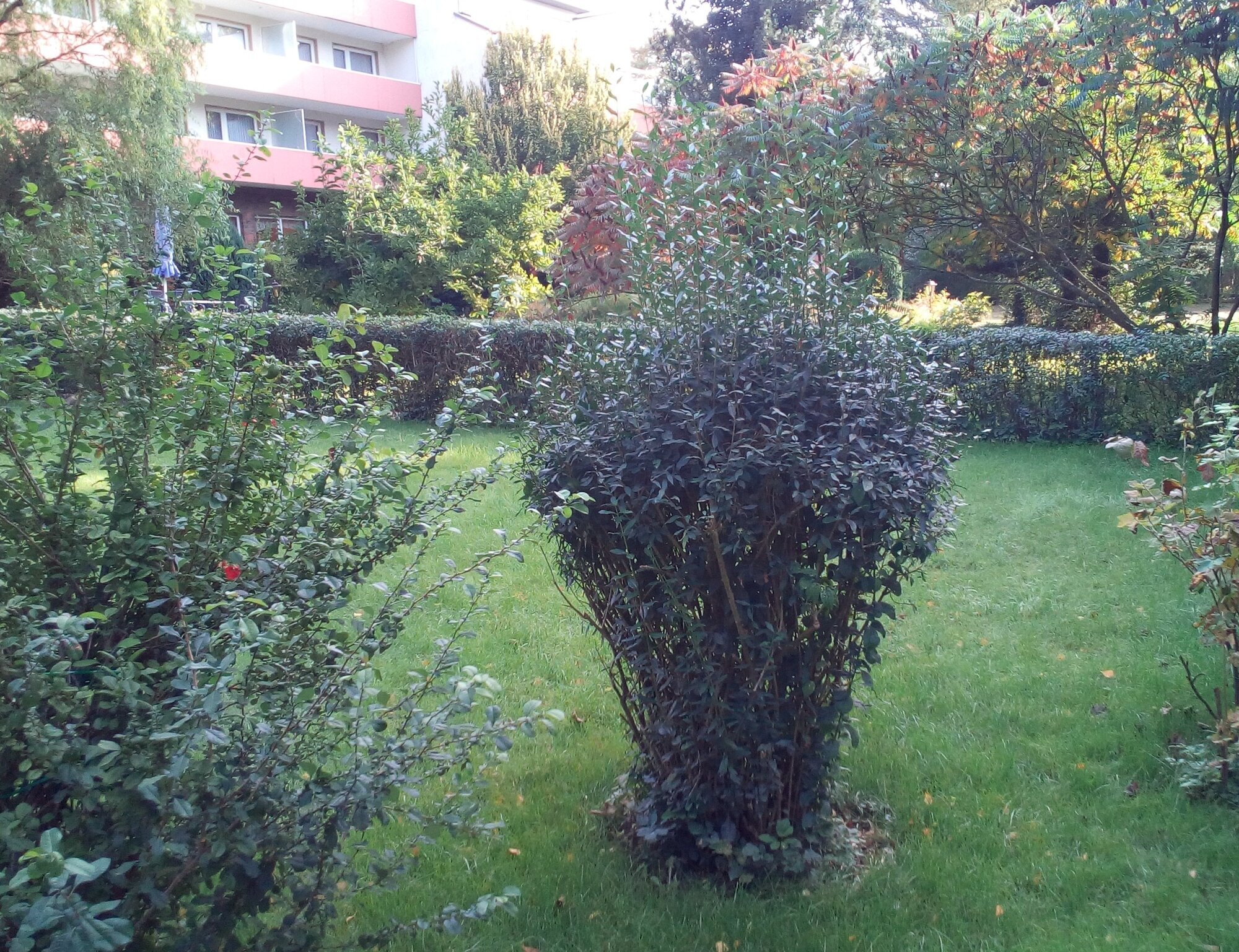 Hotel Seehaus, Brunnenstraße 108 in Horn-Bad Meinberg