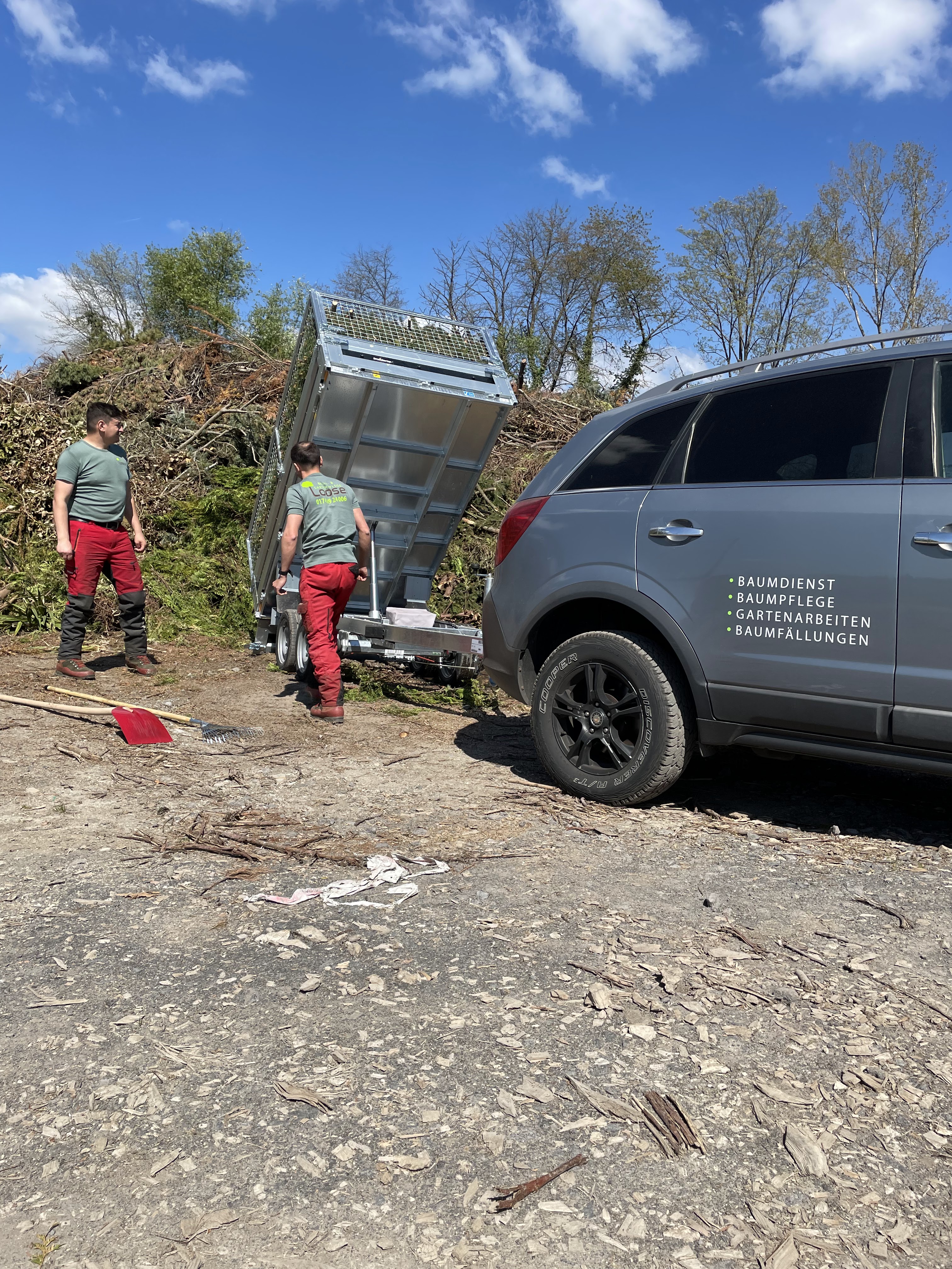 Baum- & Gartenpflege Loose in Melsbach