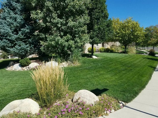 Images Lawn Doctor - Lakewood