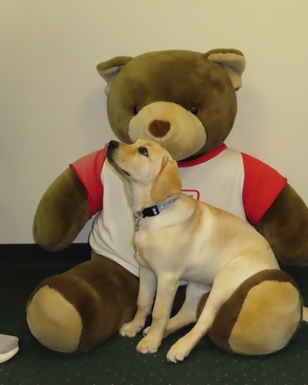 Images Jim Rottkamp - State Farm Insurance Agent