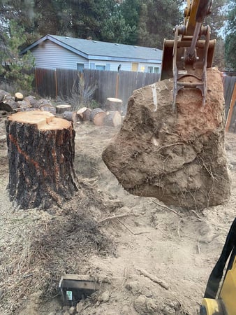 Images Leavn Trax Excavation LLC