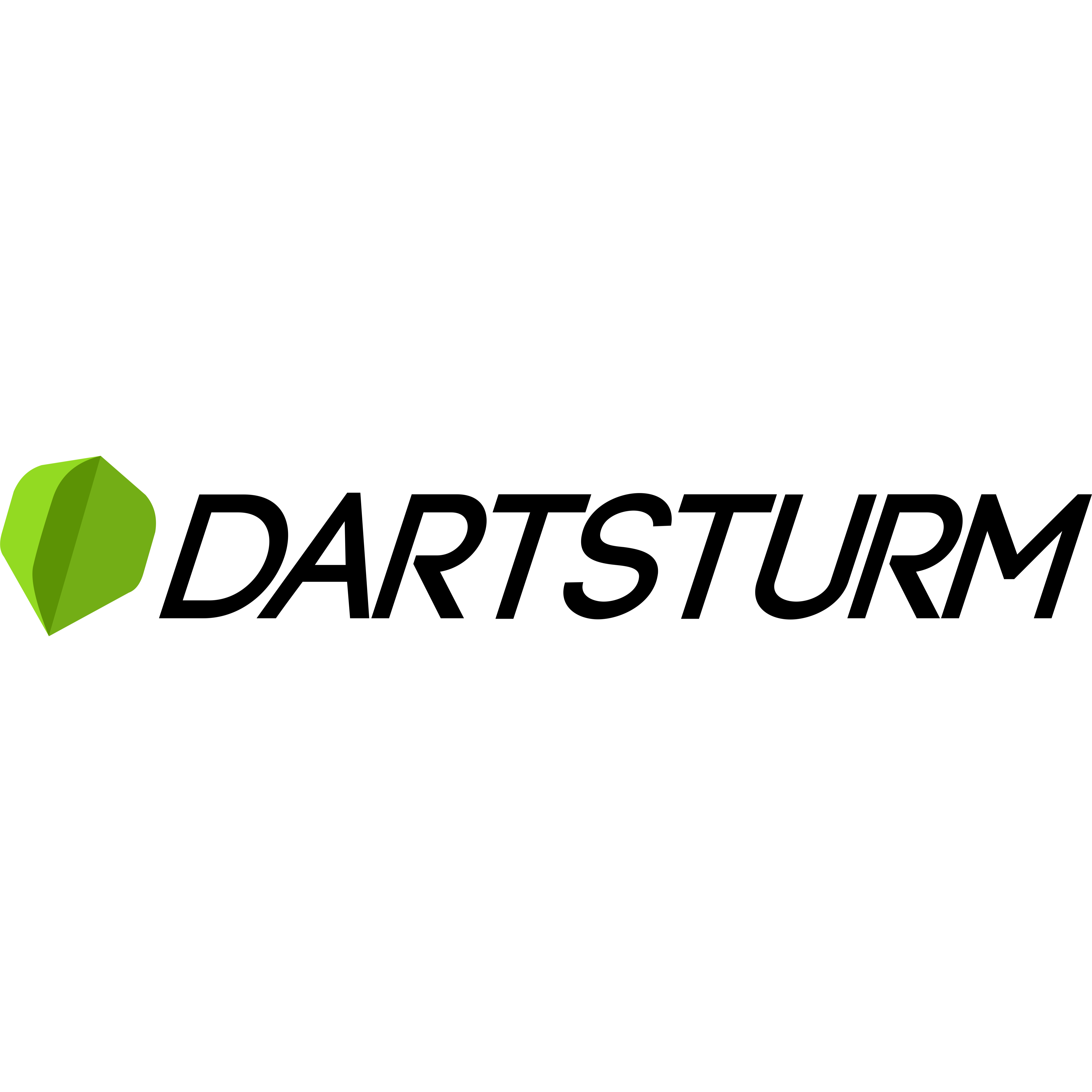 DartSturm Logo