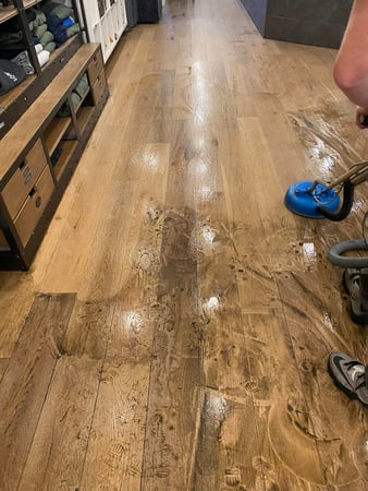 Images Platinum Pros Floor Care