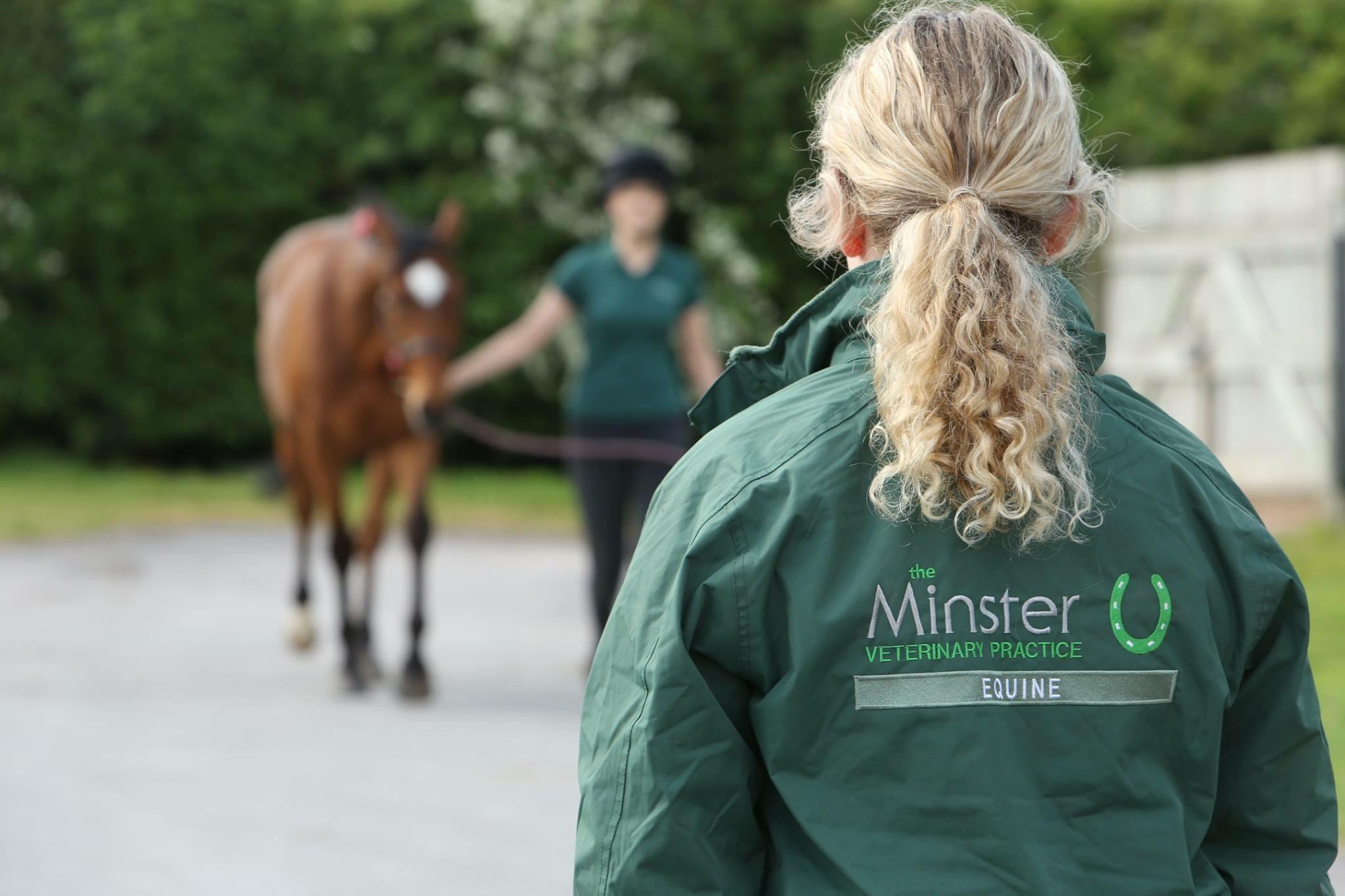 Images Minster Equine Practice, Malton