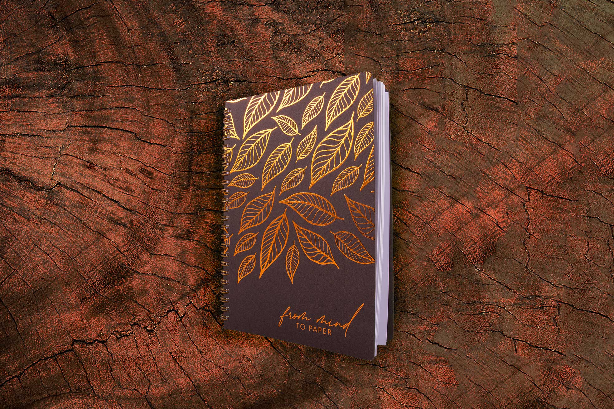 Bild 50 von Stern-Druck Gesellschaft m.b.H.