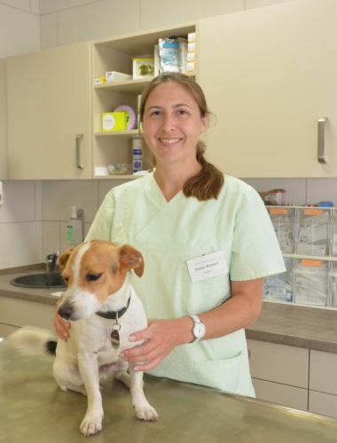 Bilder Tierärztliche Klinik Dr. S. Rummel - Ihr Tierarzt in Neubrandenburg
