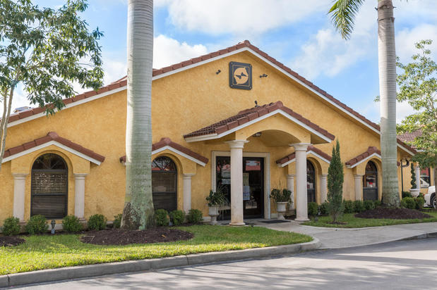 Images Palm Beach Equine Clinic