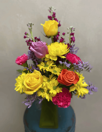 Images The Petal Post