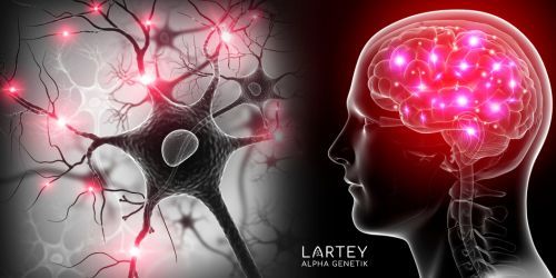 Annette Lartey Heilpraktikerin, Kaiser-Friedrich-Str. 6 in Wiesbaden