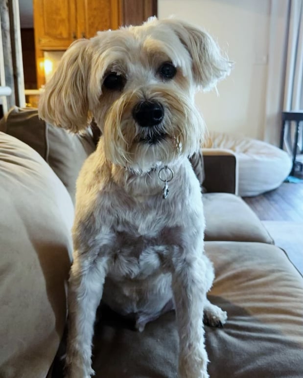 Images Todd Glover - State Farm Insurance Agent