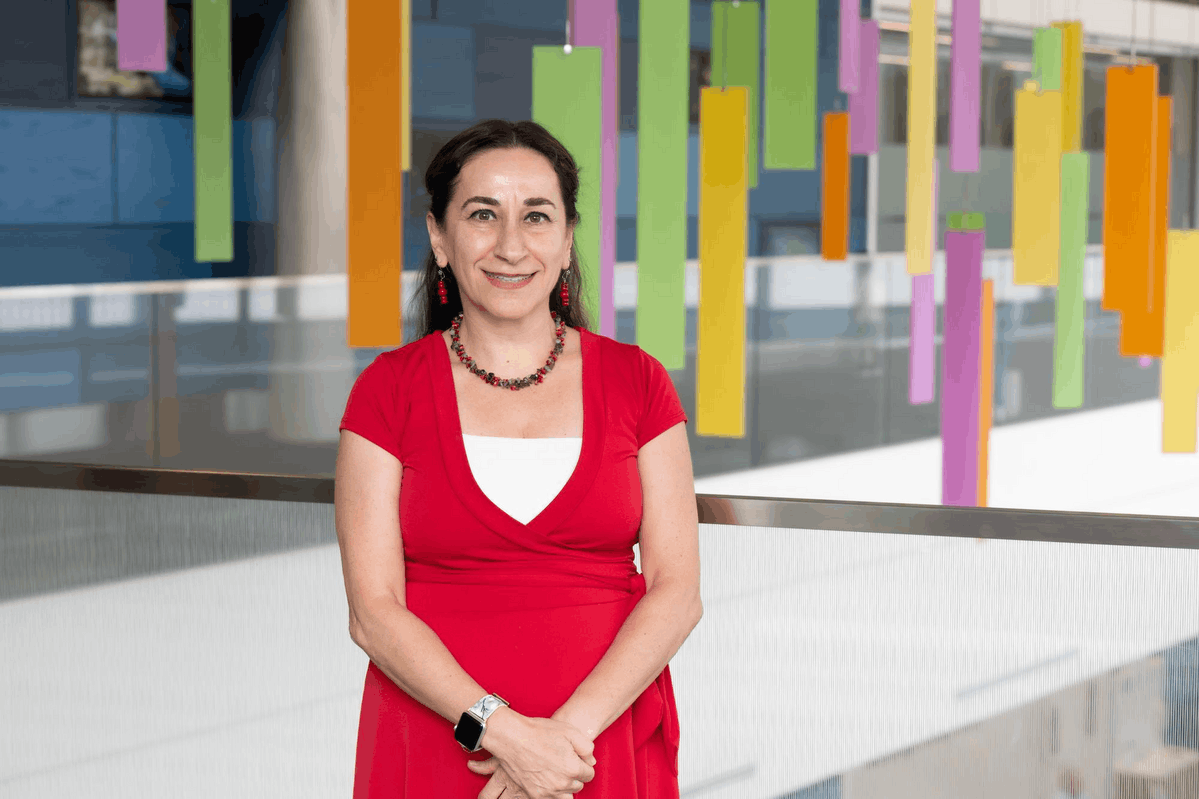 Sumru Bilge-Johnson, MD - Akron, OH - Psychiatry, Internist/pediatrician