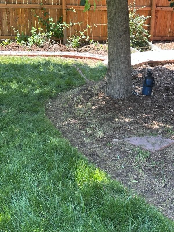 Images Denver Curb and Landscaping