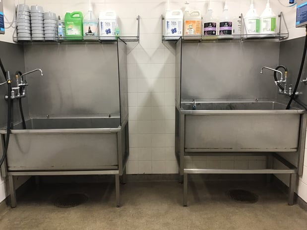 Images Petco Grooming