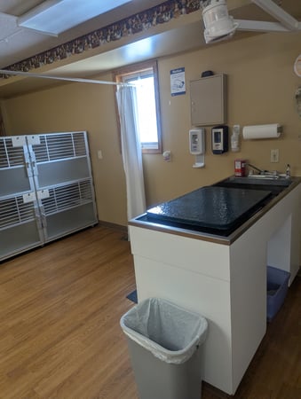 Images VCA Avondale Veterinary Hospital