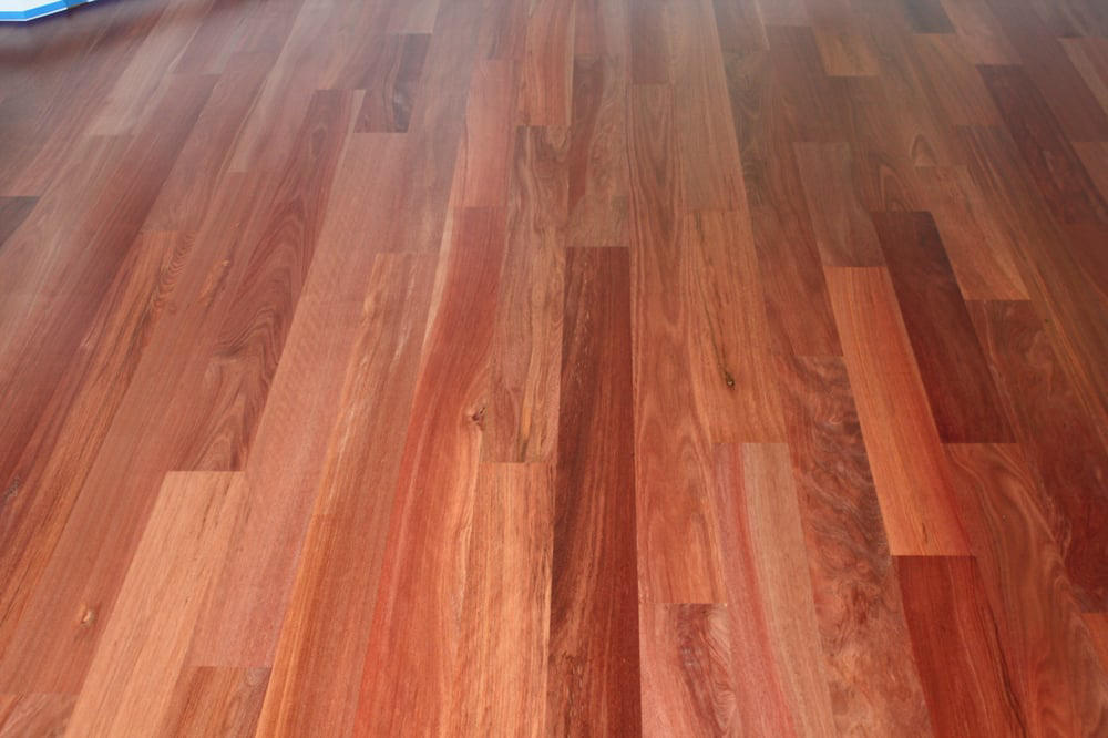 Professional Hardwood Floor Refinishing Nj S 1 Carpet Sharp Wood Floors S In Reno 8s