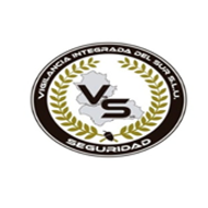 VigSur Logo