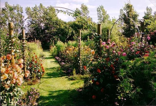 Images Skibbild Anlægsgartner A/S