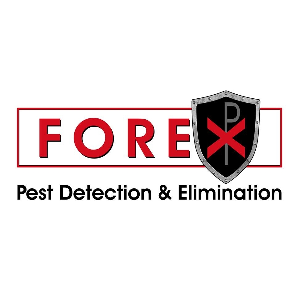Forex pest control
