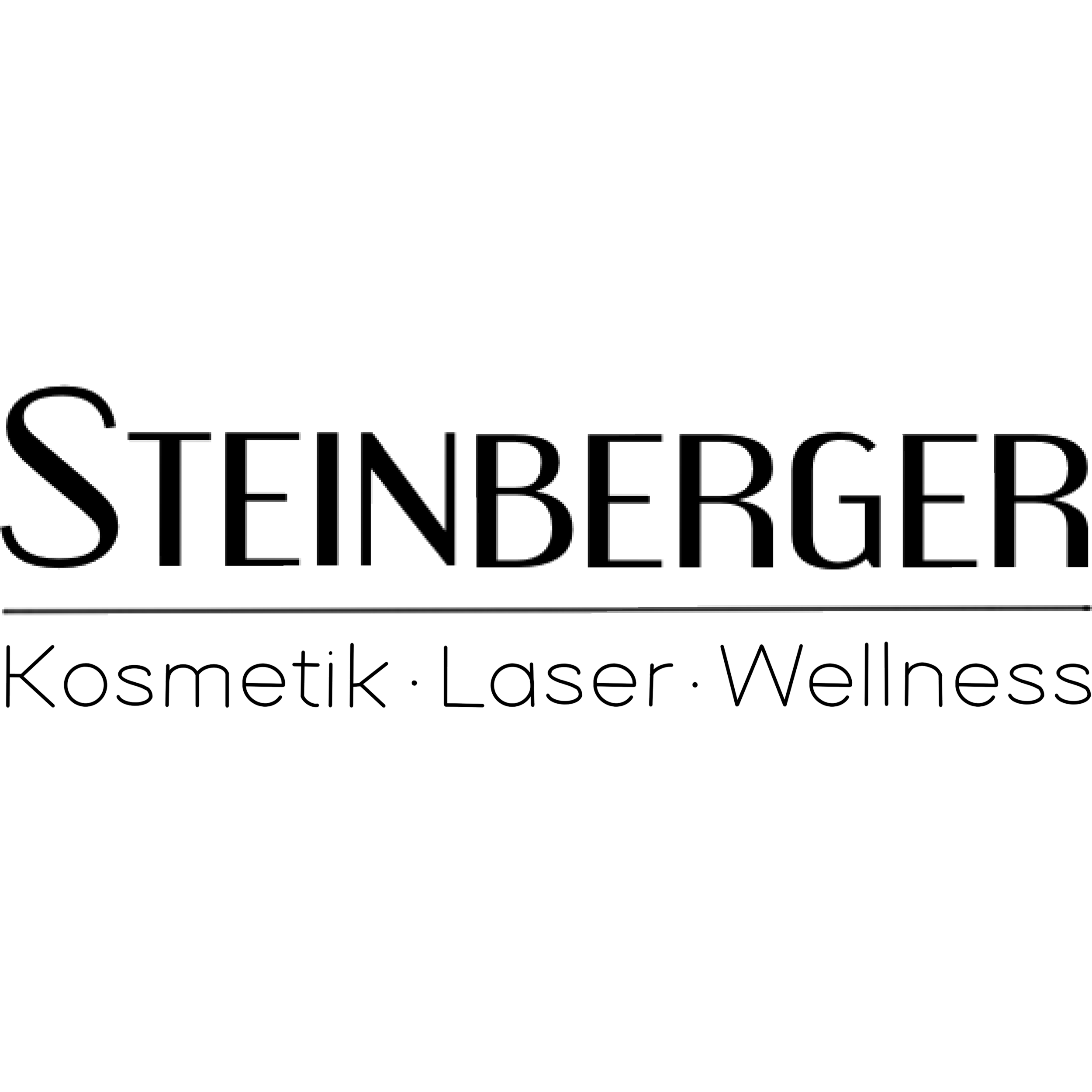 STEINBERGER Kosmetik in Rheinfelden in Baden - Logo