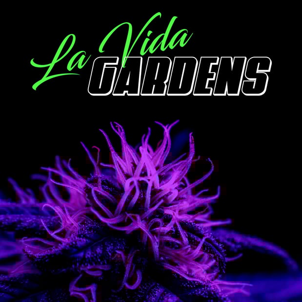 Images La Vida Gardens Dispensary Belleville NJ