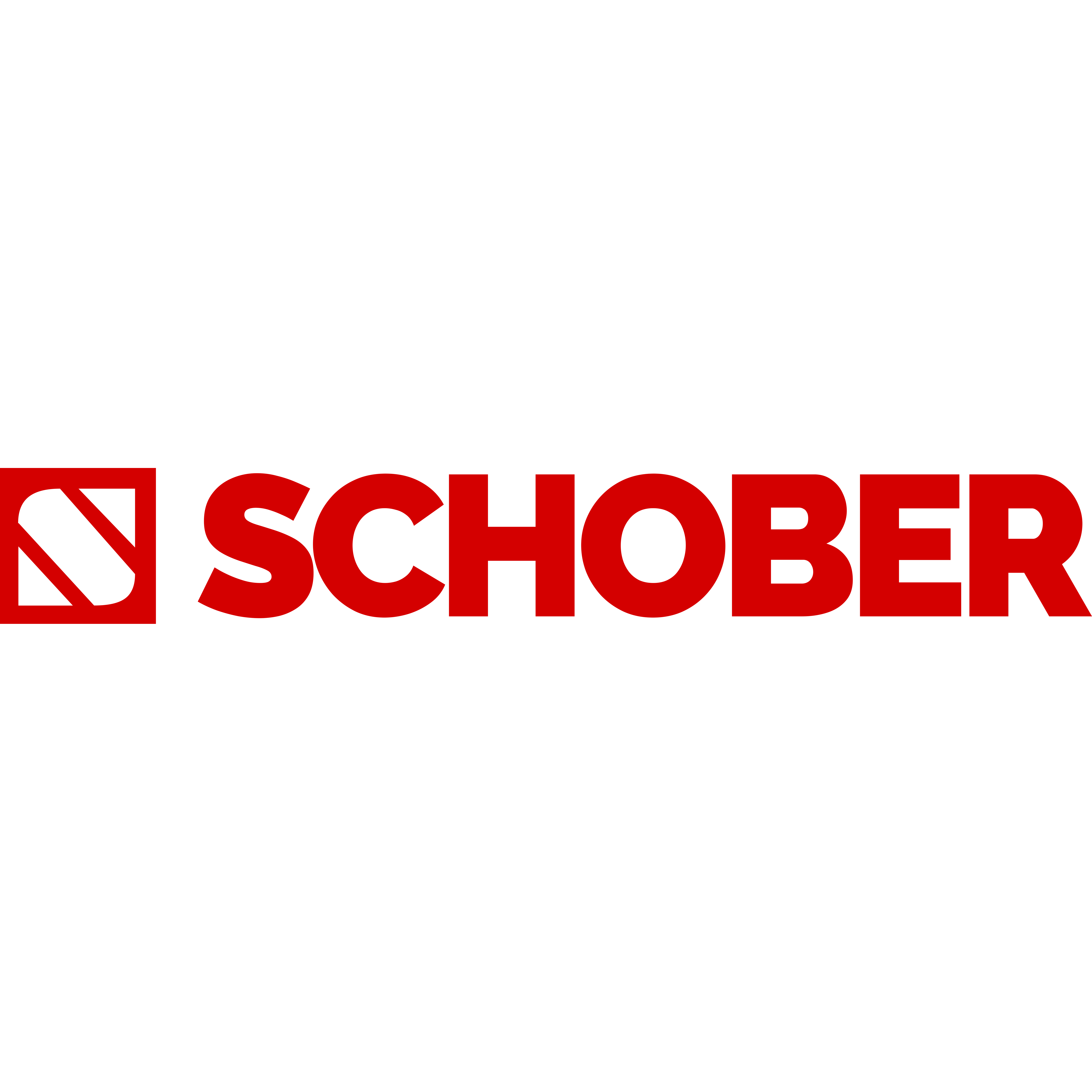 SCHOBER Bau AG Logo