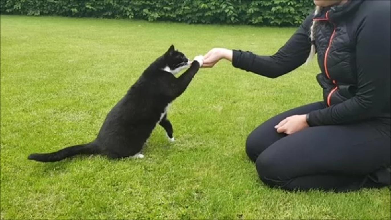 Images Aabybro Dyrehospital ApS