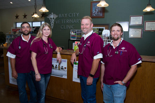 Images Bay City Veterinary Clinic & Equine Hospital