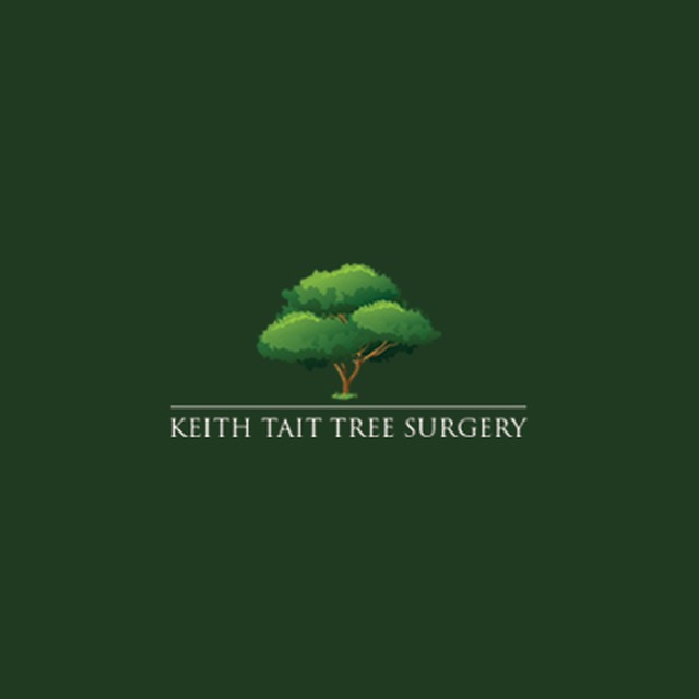 Keith Tait Tree Surgery Folkestone 01233 641365