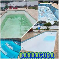 Images Barracuda Surfaces