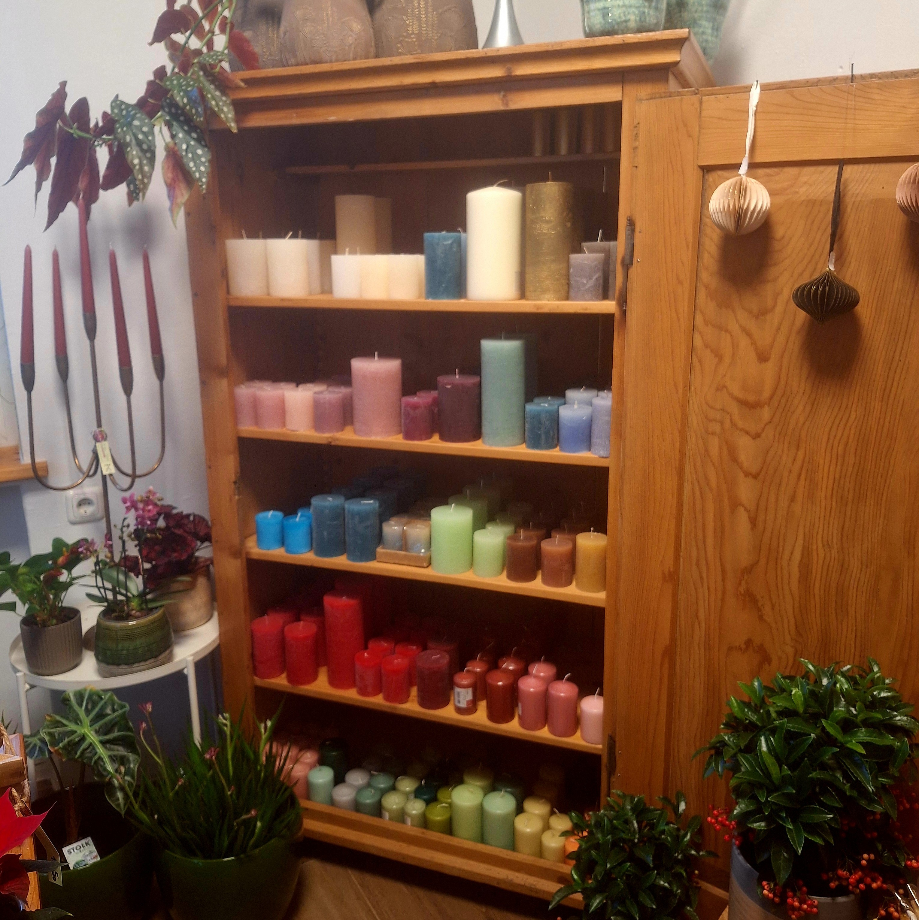 Bild 74 von Grün-Zone