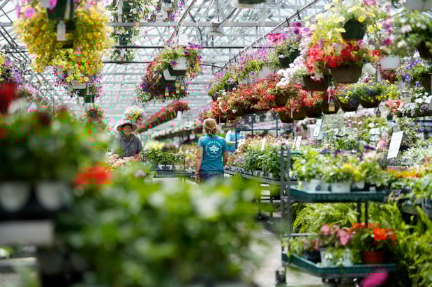 Images Mahoney's Garden Center