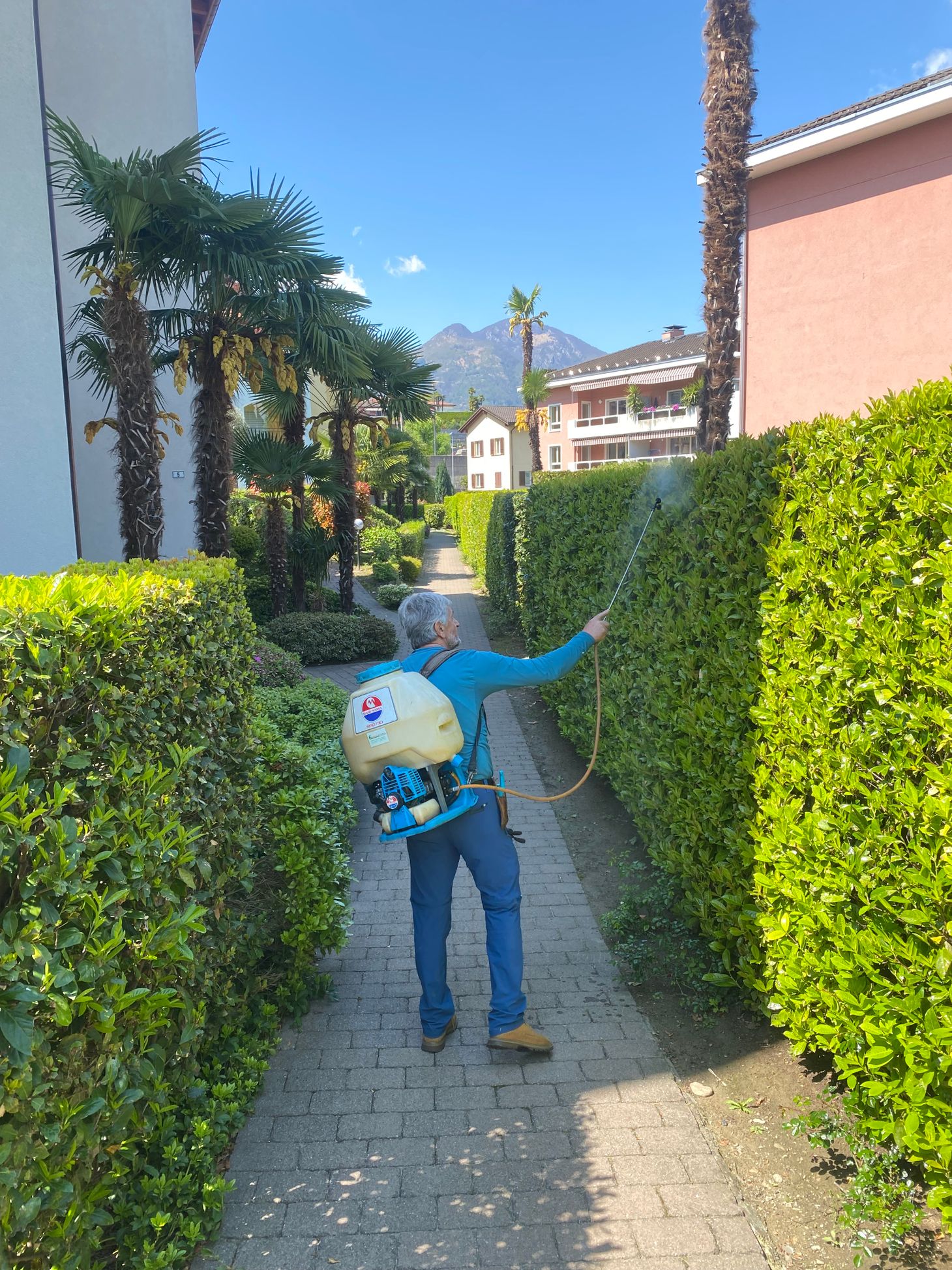 Bilder Selim Giardini Sagl