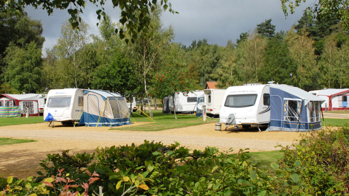 Images The Sandringham Estate Caravan and Motorhome Club Campsite