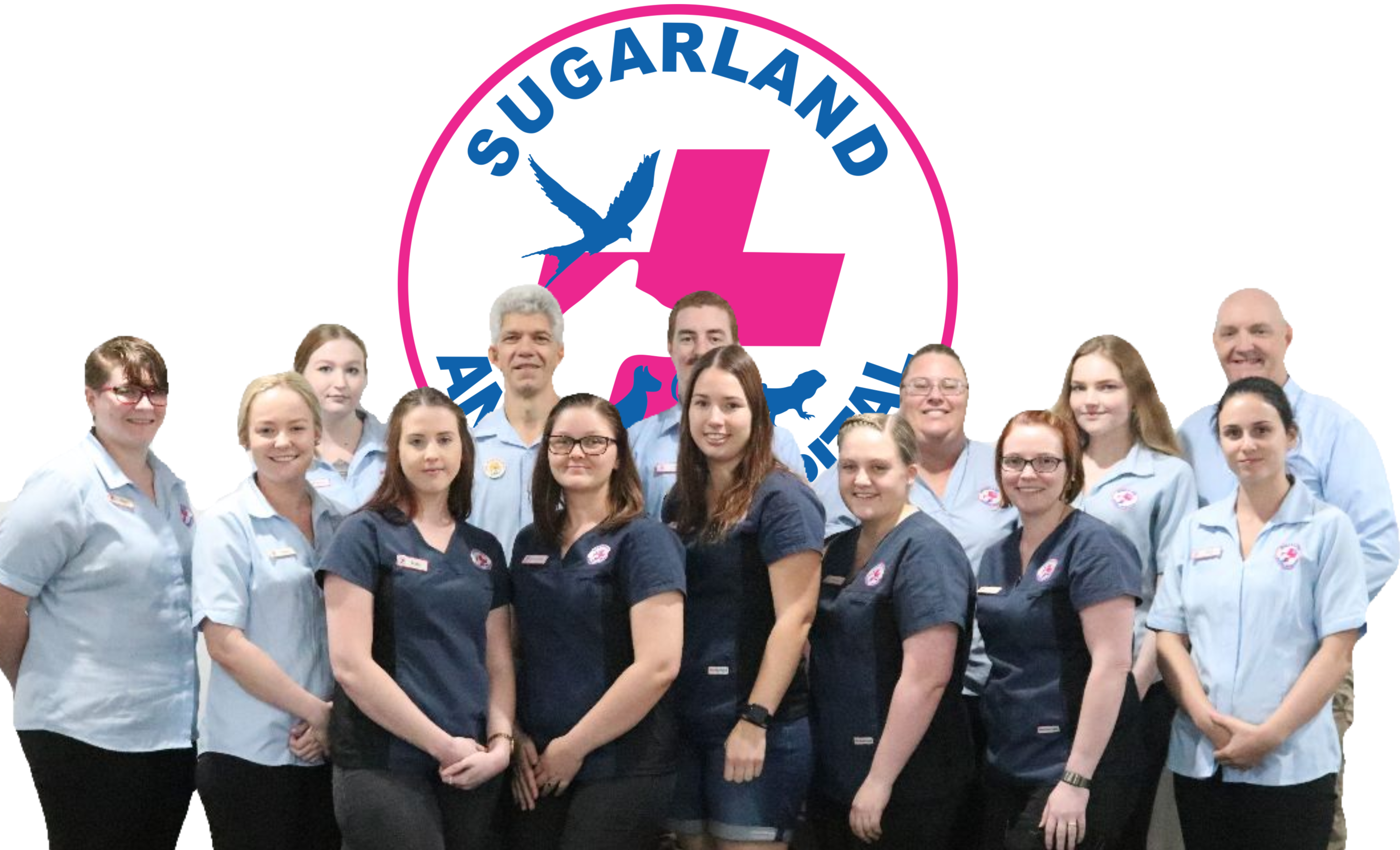 Images Sugarland Animal Hospital