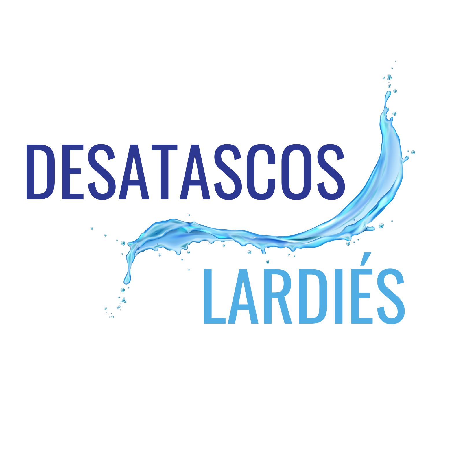 Desatascos Lardies Logo