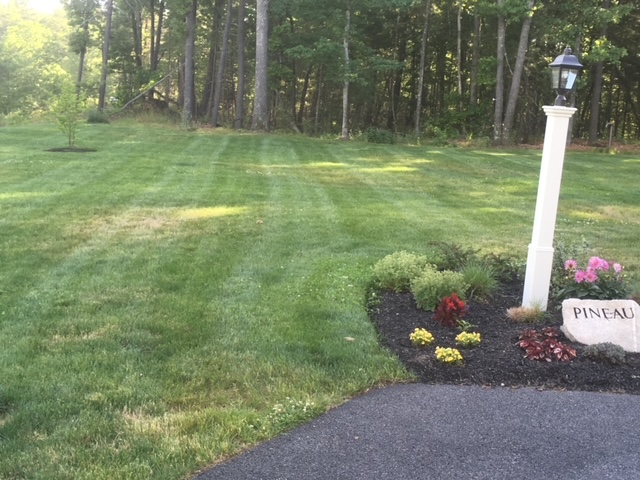 Notice the edging around that mulched bed - curtesy of Alvarez Landscaping, LLC