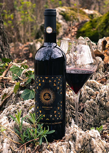 Images Divinalux Winery Estate